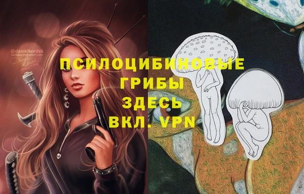 а пвп мука Абаза