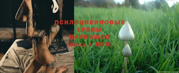 гидропоника Абдулино