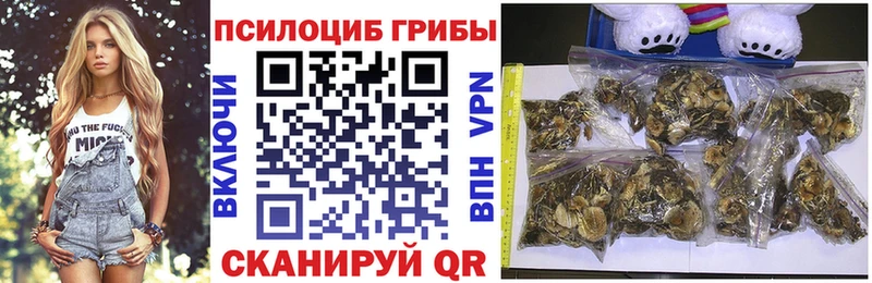 Галлюциногенные грибы GOLDEN TEACHER  hydra как зайти  Ртищево  дарнет шоп 