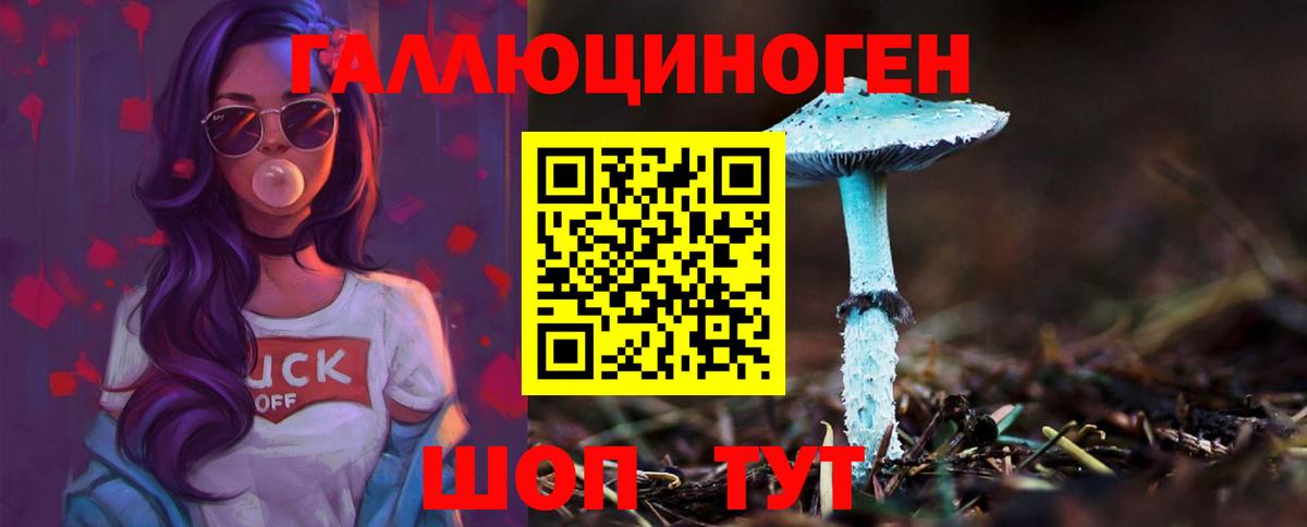 Псилоцибиновые грибы Magic Shrooms  купить закладку  Ртищево  Псилоцибиновые грибы MAGIC MUSHROOMS  Вход с VPN 