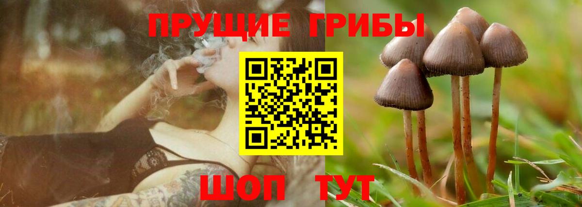 Псилоцибиновые грибы мухоморы Ртищево